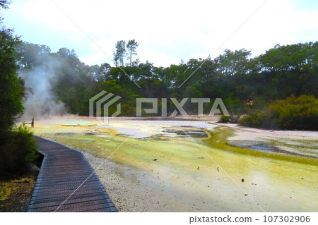 Franpan Plains at Waiotapu Thermal Wonderland 107302906