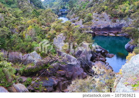 阿拉蒂亞急流懷拉基公園大壩 107303621