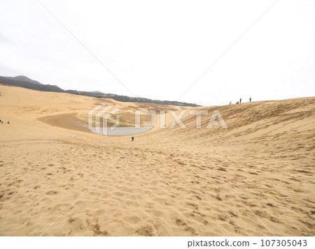 從馬背上看到的沙灘「日式形象」(鳥取縣) 從馬背上看到的沙灘「日式形象」(鳥取縣) 107305043