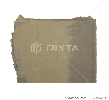 A sheet of corrugated paper is torn into pieces isolated on white background 107305291