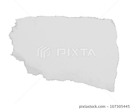 a sheet of paper torn to pieces isolated on white background a sheet of paper torn to pieces isolated on white background 107305445