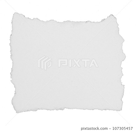 a sheet of paper torn to pieces isolated on white background 107305457