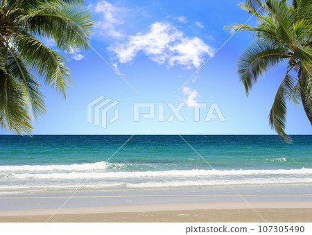 Palm tree on tropical beach with blue sky and white clouds background. Copy space of summer vacation and business travel concept design Palm tree on tropical beach with blue sky and white clouds background. Copy space of summer vacation and business travel concept design 107305490