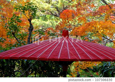 日本的秋天 日本的秋天 107306830