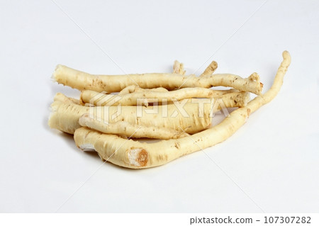 Dang Shen root or Poor Man's Ginseng, lat. Codonopsis Pilosula Dang Shen root or Poor Man's Ginseng, lat. Codonopsis Pilosula 107307282