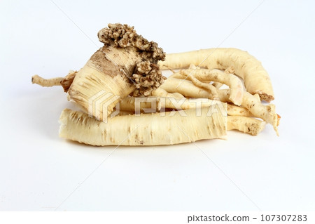 Dang Shen root or Poor Man's Ginseng, lat.  Codonopsis Pilosula 107307283