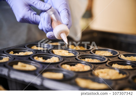 Gardener planting seeds with syringe seeder planter in greenhouse. Close up of hands in garden rubber gloves using seed sowing tool while planting seeds in seedling tray with soil sponge plugs. 107307342