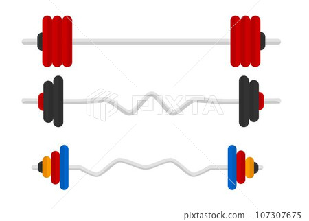 Sports equipment for gym, barbell with weights 107307675