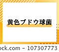 Simple title of Staphylococcus aureus 107307773