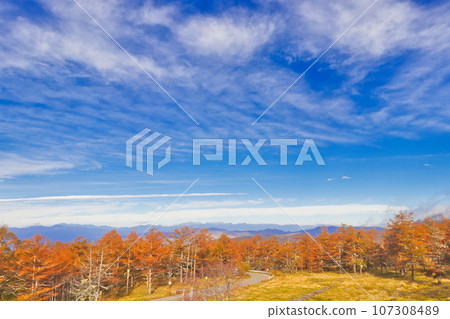 Fairy tale road View from Mugikusa Pass 107308489
