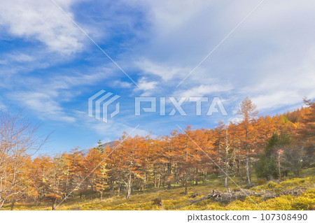 Fairy tale road View from Mugikusa Pass 107308490