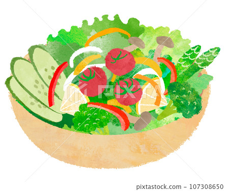 蔬菜沙拉插圖 107308650