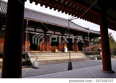 World Heritage Site Yakushiji Toindo World Heritage Site Yakushiji Toindo 107308707