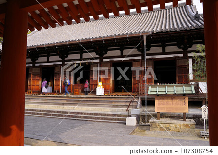 Yakushiji Temple Hall Yakushiji Temple Hall 107308754