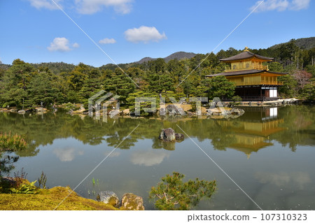 Kyoto in spring in Japan, Kinkaku-ji Temple, a world heritage site, the golden Shariden, the beautiful Rokuon-ji Garden with fresh greenery and Kagami Lake 107310323