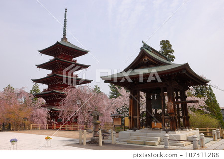 青森縣弘前市土屋町，著名的賞櫻勝地金剛最勝院，周圍環繞著垂枝櫻花的五層寶塔和鐘樓。 107311288