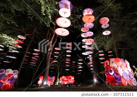 Nikko City Kinugawa Onsen Tsukikari Flower Corridor Nikko City Kinugawa Onsen Tsukikari Flower Corridor 107311521