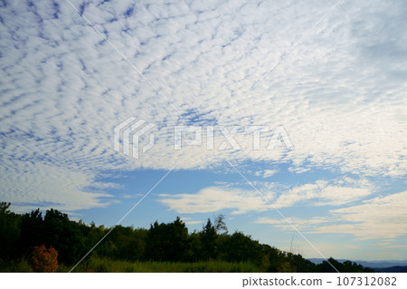 Evening with scale clouds before sunset at Kizugawa City Castle Park 107312082