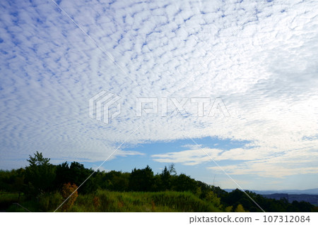 Evening with scaly clouds before sunset, Kizugawa City Castle Park 107312084