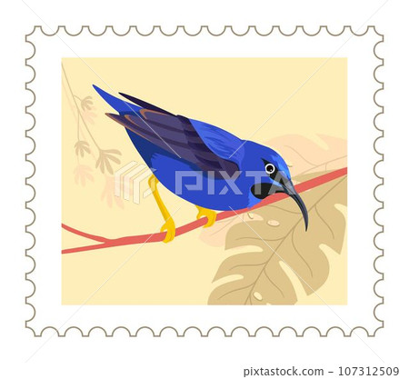 Tropical avian animal on branch, postal marks 107312509