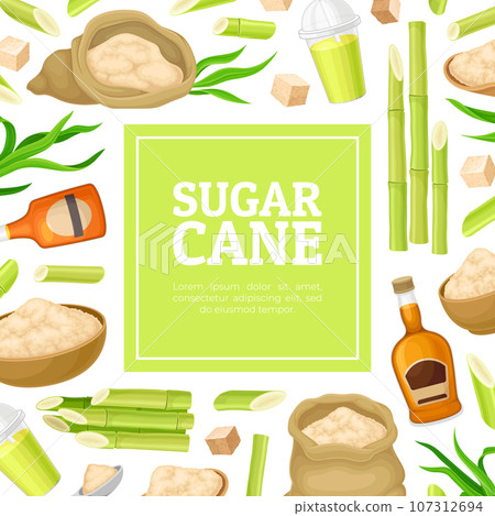 Cane Sugar Natural Product Banner Design Vector Template Cane Sugar Natural Product Banner Design Vector Template 107312694