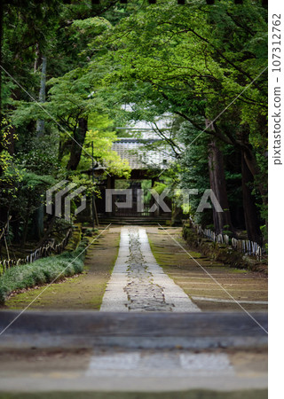 Kamakura September Jufukuji Temple 10 Kamakura September Jufukuji Temple 10 107312762