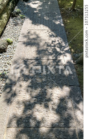 鵝卵石路面,陽光透過樹木 鵝卵石路面,陽光透過樹木 107313255