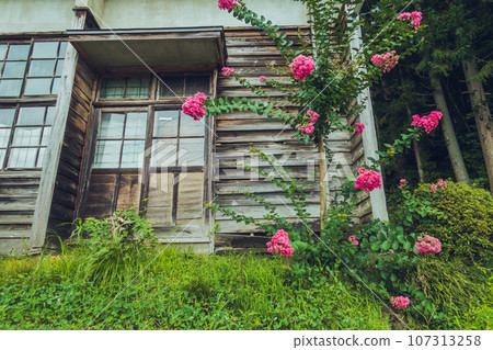老建築和紫薇花 老建築和紫薇花 107313258