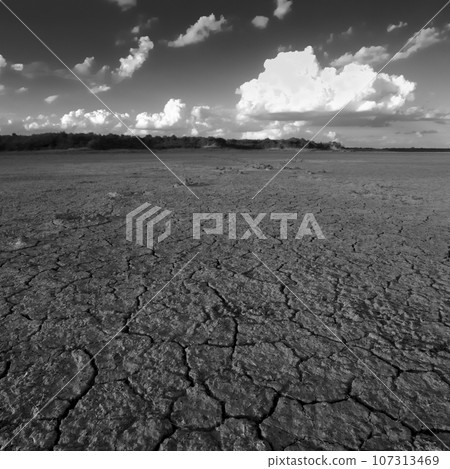 Broken dry soil in a Pampas lagoon, La Pampa province, Patagonia, Argentina. 107313469
