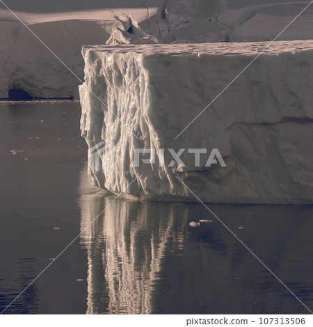 Lemaire strait coastal landscape, mountains and icebergs, Antarctic Peninsula, Antartica. 107313506