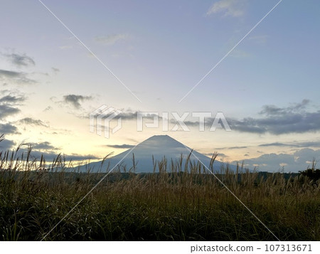 清晨從朝霧高原眺望富士山 清晨從朝霧高原眺望富士山 107313671