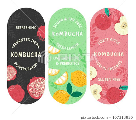 Kombucha stickers or package product design vector Kombucha stickers or package product design vector 107313930