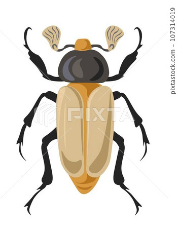 Bug Chrysina or jewel scarabs, insects vector 107314019