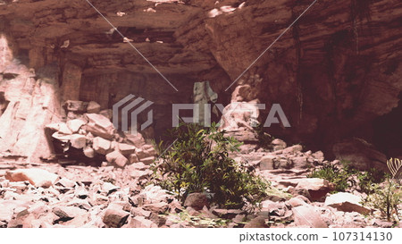A natural cave with beautiful rock formations and lush plant life 107314130