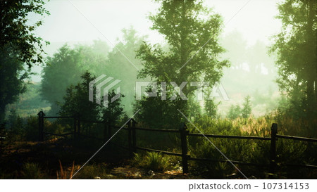 A fence standing in the heart of a tranquil forest 107314153