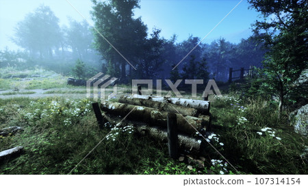 Forest in autumn morning mist 107314154