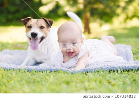 Happy baby girl and family pet dog lying on grass in park on beautiful summer day Happy baby girl and family pet dog lying on grass in park on beautiful summer day 107314838