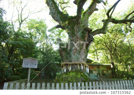 熱田神社的Otasu 107315562