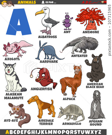 educational alphabet set with cartoon animals educational alphabet set with cartoon animals 107315965
