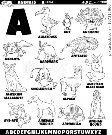 educational alphabet set with cartoon animals coloring page educational alphabet set with cartoon animals coloring page 107315966