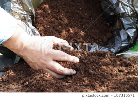Peat moss, fertilizer soil for organic agriculture, plant growing, ecology concept. Peat moss, fertilizer soil for organic agriculture, plant growing, ecology concept. 107316571