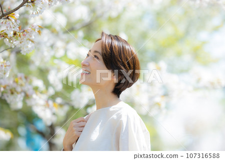 櫻花下的女人 107316588