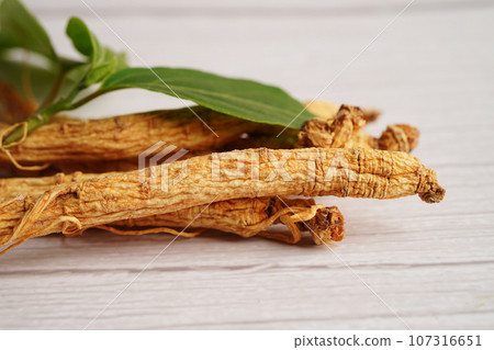 Ginseng roots and green leaf, organic nature healthy food. Ginseng roots and green leaf, organic nature healthy food. 107316651