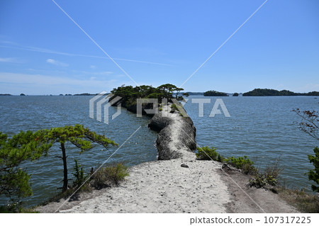松島,日本三大名勝之一,旅遊勝地馬之瀨 松島,日本三大名勝之一,旅遊勝地馬之瀨 107317225