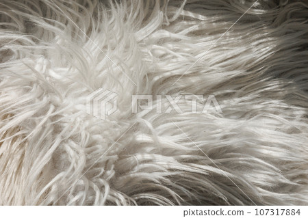 Close up artificial fluffy white-grey fabric fur, wool shaggy carpet with long pile. Soft loop pile surface. Hairy carpet detail. Faux fur texture, background. Close up artificial fluffy white-grey fabric fur, wool shaggy carpet with long pile. Soft loop pile surface. Hairy carpet detail. Faux fur texture, background. 107317884
