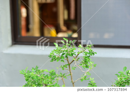 台南的咖啡館 107317894