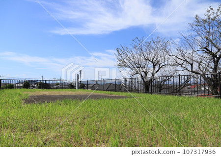 Maebashi Tenjinyama Tumulus (top of the tumulus) Maebashi Tenjinyama Tumulus (top of the tumulus) 107317936
