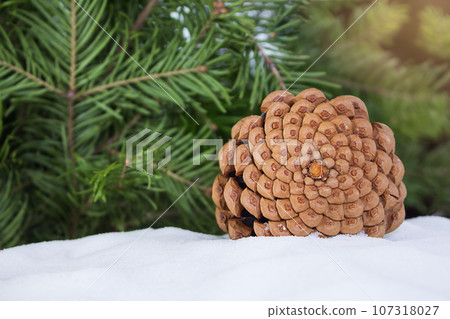 Brown pine cone on snow with pine and spruce branches. Snowy winter holiday celebration card, defocused blurred background. Copy space Brown pine cone on snow with pine and spruce branches. Snowy winter holiday celebration card, defocused blurred background. Copy space 107318027