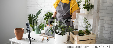 Relaxing home gardening banner. Smiling middle aged woman in black gloves with potted plant records gardening video blog in modern house - blogging and florist vlog influencer 107318061