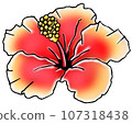 Hibiscus 107318438